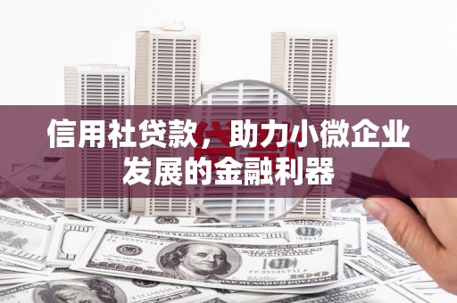 布袋信用社贷款，助力小微企业发展的金融利器
