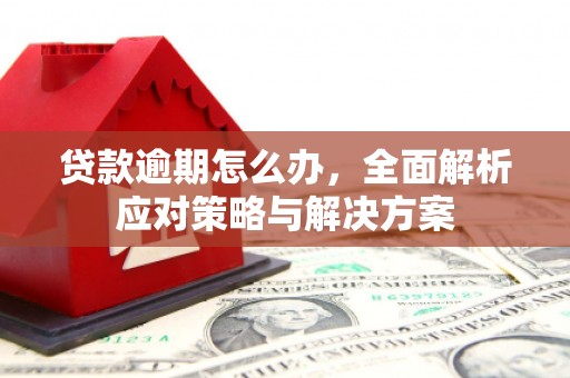 贞丰贷款逾期怎么办，全面解析应对策略与解决方案