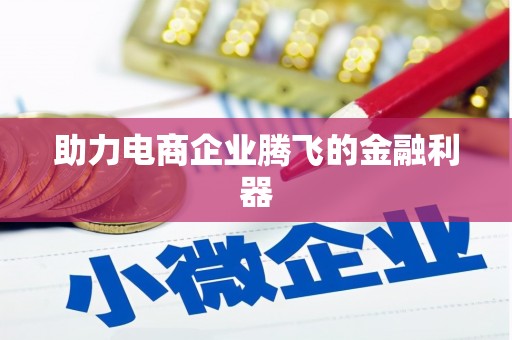 盐山助力电商企业腾飞的金融利器