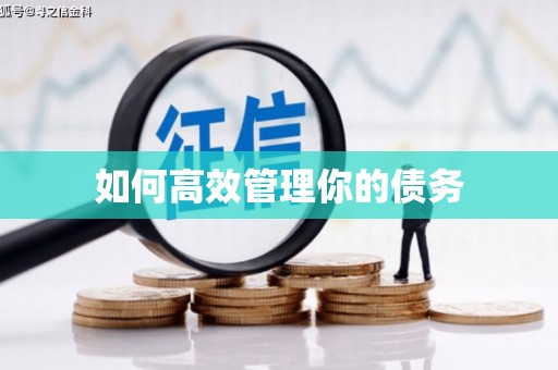 太白如何高效管理你的债务