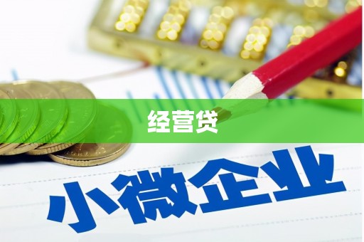 天镇经营贷