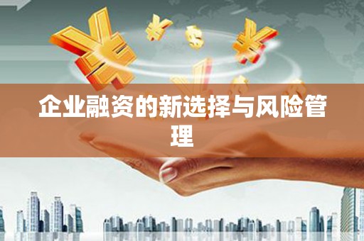 西盟企业融资的新选择与风险管理