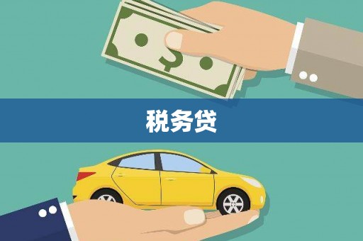 定陶税务贷
