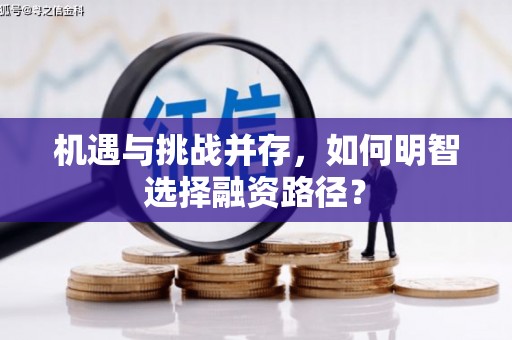 无极机遇与挑战并存，如何明智选择融资路径？