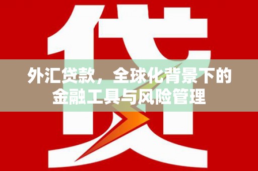 安乡外汇贷款，全球化背景下的金融工具与风险管理